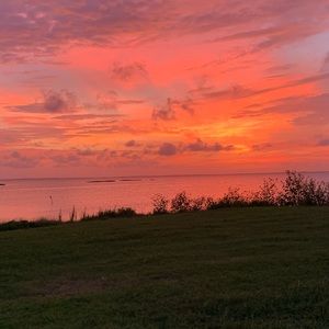 Meet your Posher, Zach